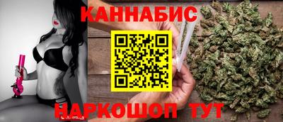 apvp Кингисепп